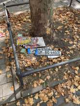 Bild zu gemeldetem Anliegen vom *2025-08-27 09:27:30