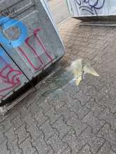 Bild zu gemeldetem Anliegen vom *2025-08-26 06:27:50