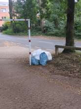Bild zu gemeldetem Anliegen vom *2025-08-31 15:33:47