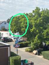 Bild zu gemeldetem Anliegen vom *2025-08-26 12:28:07