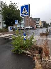 Zugewachsenes Schild Zebrastreifen