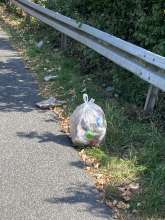 Bild zu gemeldetem Anliegen vom *2025-08-20 12:58:47