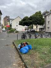 Bild zu gemeldetem Anliegen vom *2025-08-22 09:30:56