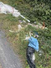 Bild zu gemeldetem Anliegen vom *2025-08-22 12:35:33