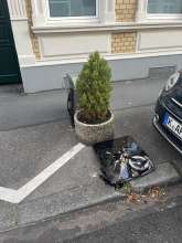Bild zu gemeldetem Anliegen vom *2025-08-24 06:31:26