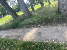 Bild zu gemeldetem Anliegen vom *2025-08-24 15:28:36