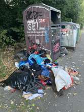 Bild zu gemeldetem Anliegen vom *2025-08-24 18:27:46