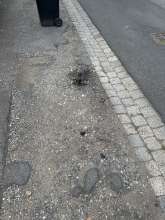 Bild zu gemeldetem Anliegen vom *2025-08-27 13:57:45