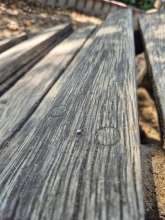 Bild zu gemeldetem Anliegen vom *2025-09-07 15:27:36