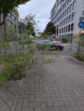 Bild zu gemeldetem Anliegen vom *2025-09-11 07:53:49
