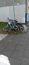 Bild zu gemeldetem Anliegen vom *2025-09-05 15:27:53