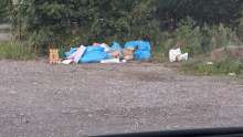Bild zu gemeldetem Anliegen vom *2025-09-12 19:25:30