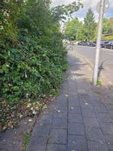 Bild zu gemeldetem Anliegen vom *2025-09-14 18:28:26