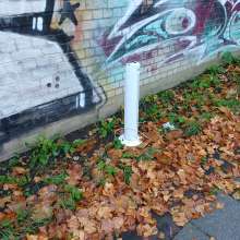 Bild zu gemeldetem Anliegen vom *2025-09-05 08:16:14