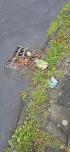 Bild zu gemeldetem Anliegen vom *2025-09-01 06:29:28