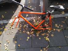 Bild zu gemeldetem Anliegen vom *2025-09-06 09:11:38