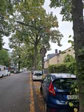 Bild zu gemeldetem Anliegen vom *2025-09-03 09:27:55
