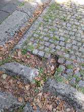 Bild zu gemeldetem Anliegen vom *2025-09-07 12:28:26
