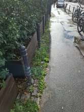 Bild zu gemeldetem Anliegen vom *2025-09-11 15:35:07