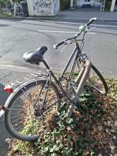 Bild zu gemeldetem Anliegen vom *2025-09-14 17:52:04