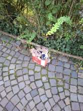 Bild zu gemeldetem Anliegen vom *2025-09-17 07:55:23