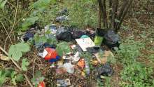 Bild zu gemeldetem Anliegen vom *2025-09-13 12:31:16