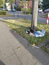 Bild zu gemeldetem Anliegen vom *2025-09-06 20:35:17