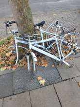 Bild zu gemeldetem Anliegen vom *2025-09-12 06:31:14
