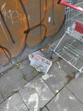 Bild zu gemeldetem Anliegen vom *2025-09-17 09:06:44