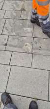 Bild zu gemeldetem Anliegen vom *2025-09-01 09:28:36