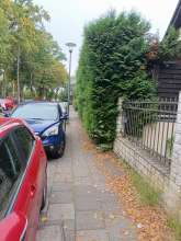 Bild zu gemeldetem Anliegen vom *2025-09-25 15:27:50