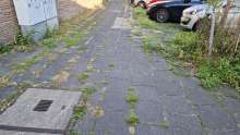 Bild zu gemeldetem Anliegen vom *2025-09-12 18:32:12