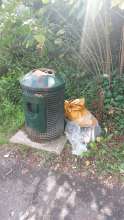 Bild zu gemeldetem Anliegen vom *2025-09-11 12:30:06