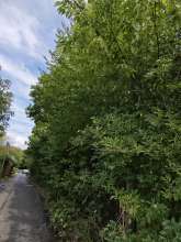 Bild zu gemeldetem Anliegen vom *2025-09-13 21:28:52