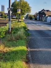 Bild zu gemeldetem Anliegen vom *2025-09-05 09:32:03