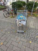 Bild zu gemeldetem Anliegen vom *2025-09-14 18:28:26