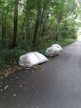 Bild zu gemeldetem Anliegen vom *2025-09-13 18:48:30