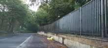 Bild zu gemeldetem Anliegen vom *2025-09-05 09:40:16