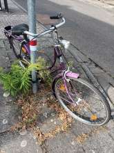 Bild zu gemeldetem Anliegen vom *2025-09-05 09:32:03
