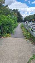 Bild zu gemeldetem Anliegen vom *2025-09-05 12:33:13
