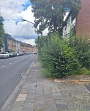 Bild zu gemeldetem Anliegen vom *2025-09-05 14:39:18