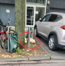 Bild zu gemeldetem Anliegen vom *2025-09-10 18:36:43