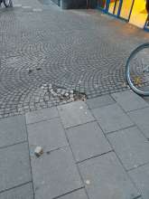 Bild zu gemeldetem Anliegen vom *2025-09-08 18:57:21
