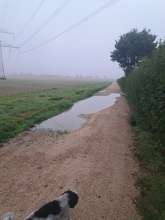 Bild zu gemeldetem Anliegen vom *2025-09-14 10:43:30