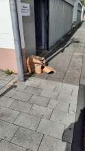 Bild zu gemeldetem Anliegen vom *2025-09-14 12:29:19
