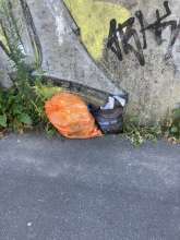Bild zu gemeldetem Anliegen vom *2025-09-02 09:31:09
