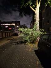 Bild zu gemeldetem Anliegen vom *2025-09-13 06:28:39