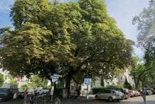 Bild zu gemeldetem Anliegen vom *2025-09-07 16:14:26