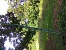 Bild zu gemeldetem Anliegen vom *2025-09-14 15:28:23