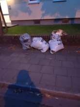 Bild zu gemeldetem Anliegen vom *2025-09-16 09:29:18